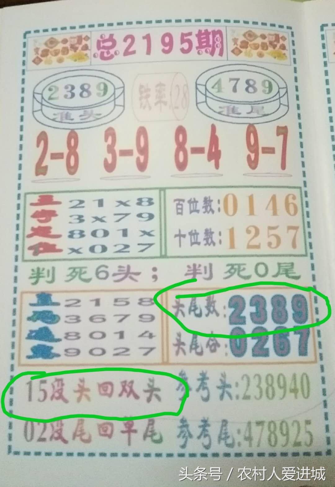 澳门一肖中100%期期准揭秘，凝练释义、解释与落实