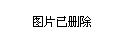 新澳门天天资料与创投释义，探索、解释与落实