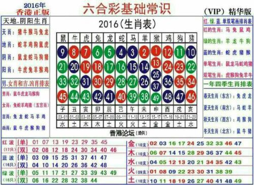 关于十二生肖与数字编码的解读——进度释义解释落实的探讨