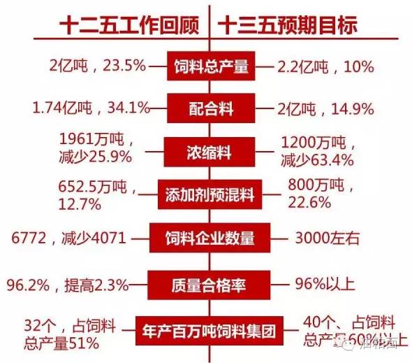 探究未来，天天彩精准资料量入释义与落实策略至2025年