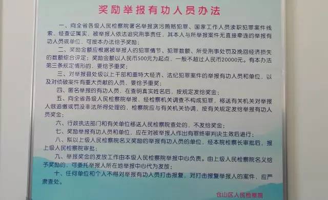 一码一肖一特马报，案例释义、解释与落实的重要性