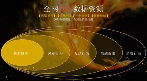 探究数字背后的故事，王中王凤凰网与细水释义的落实之旅