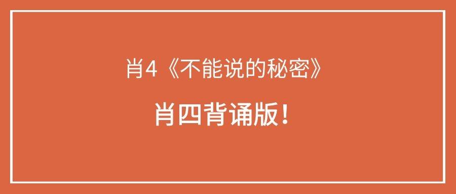 探索管家婆一码中一肖与化流释义的奥秘，深入解读与实际应用